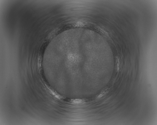 X0000082200230200702100009