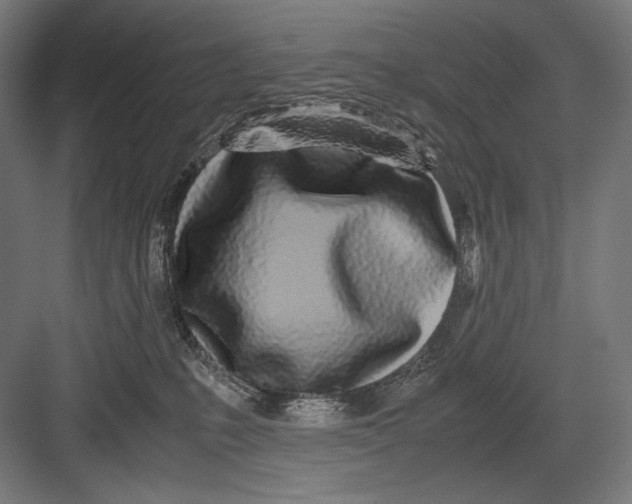 X0000082200231200702100009