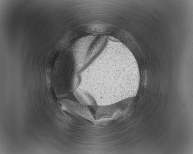 X0000082200232200702100009