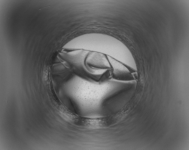 X0000082200233200702100009