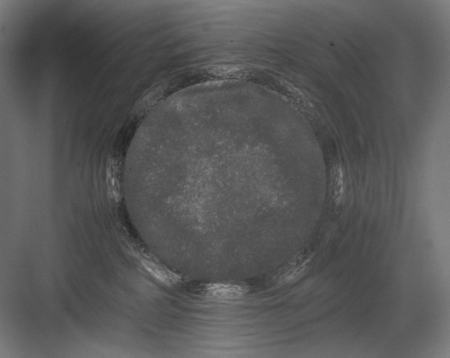 X0000082200234200702100009