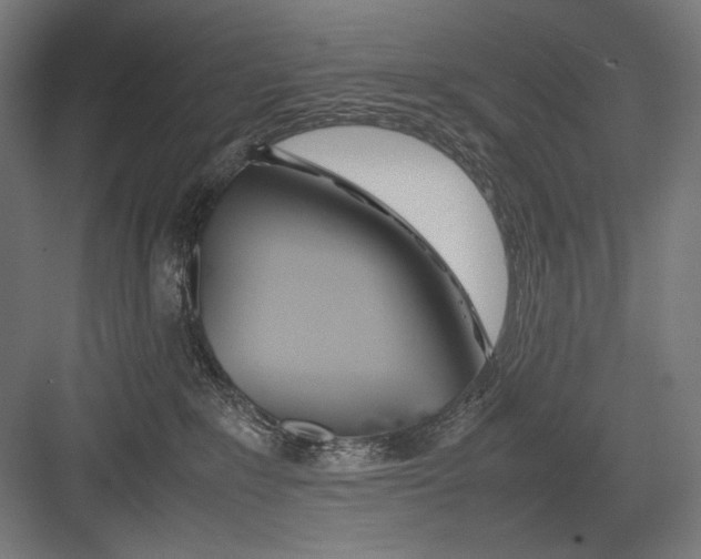 X0000082200235200702100009