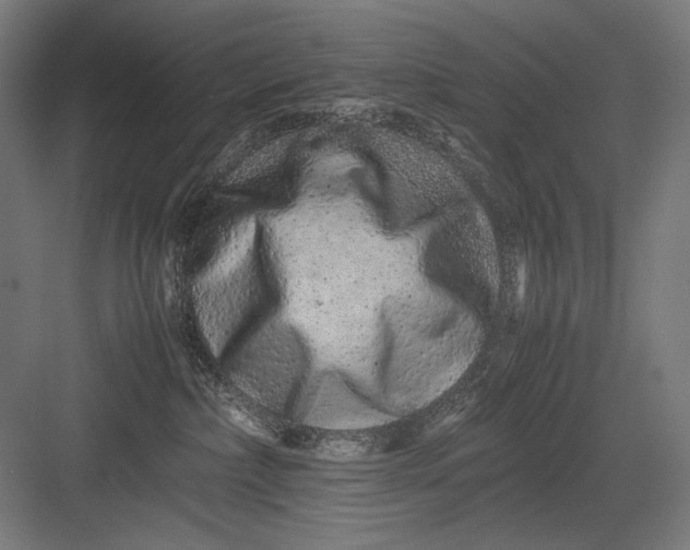 X0000082200236200702100009