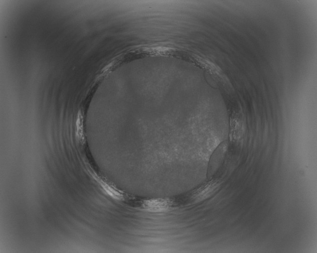 X0000082200238200702100009