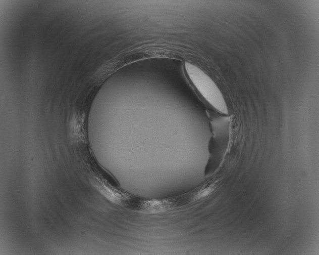 X0000082200239200702100009