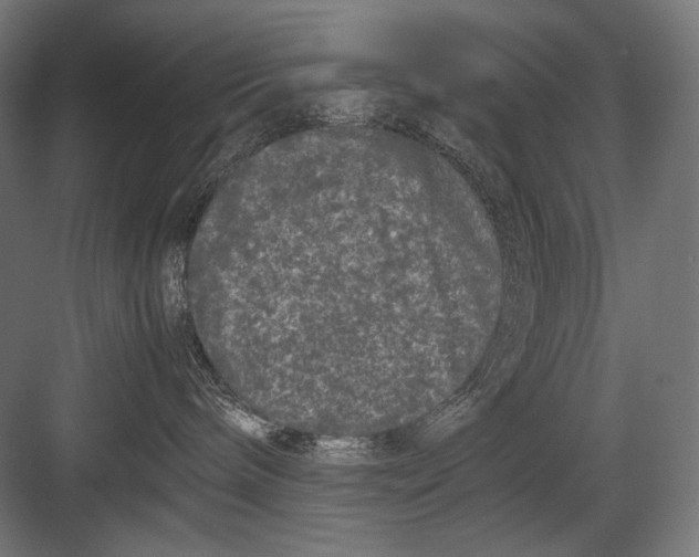 X0000082200240200702100009