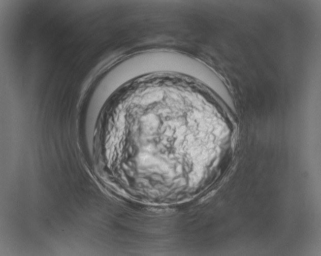 X0000082200245200702100008