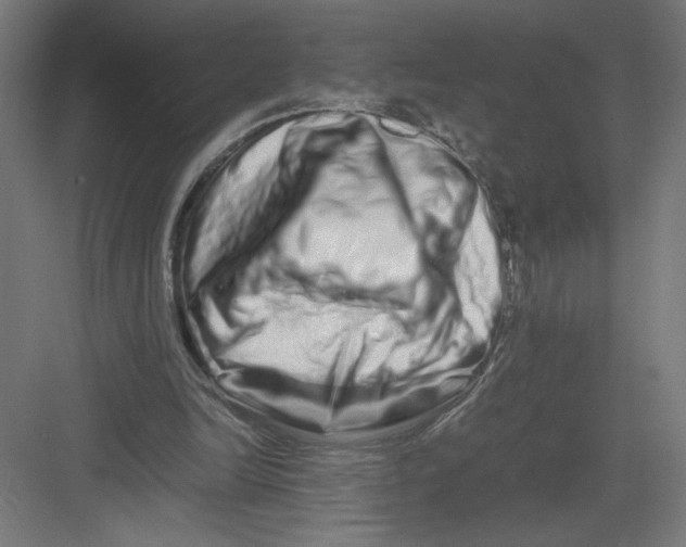 X0000082200246200702100008