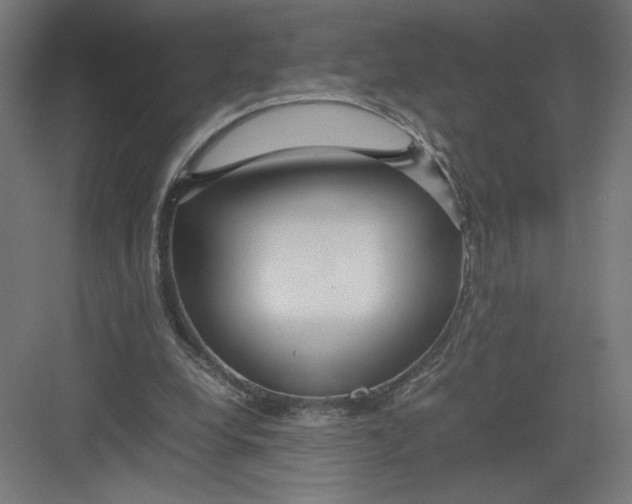 X0000082200248200702100008