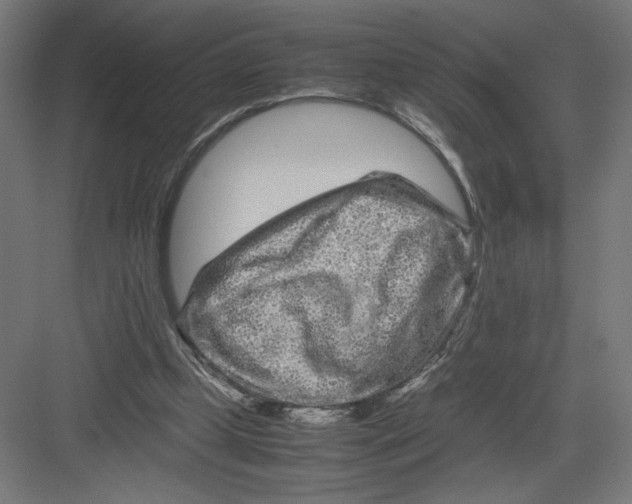 X0000082200249200702100008