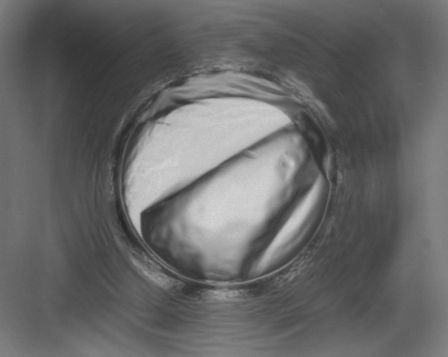 X0000082200250200702100008