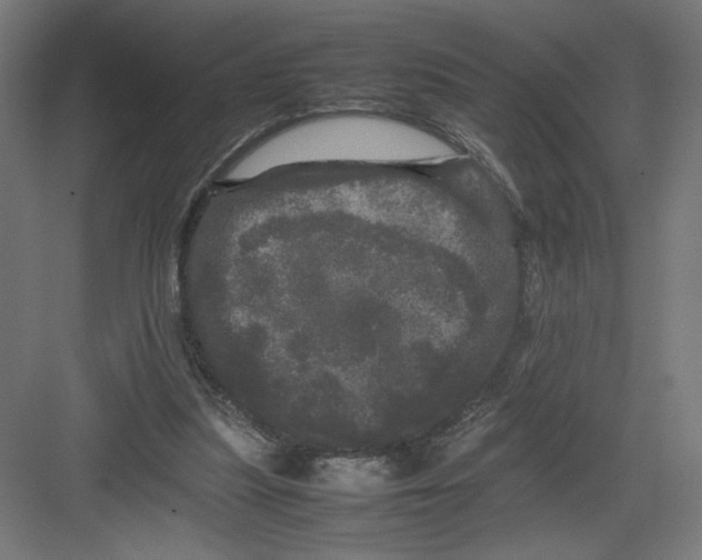 X0000082200251200702100008