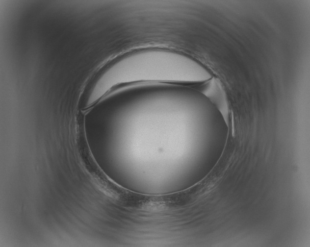 X0000082200252200702100008