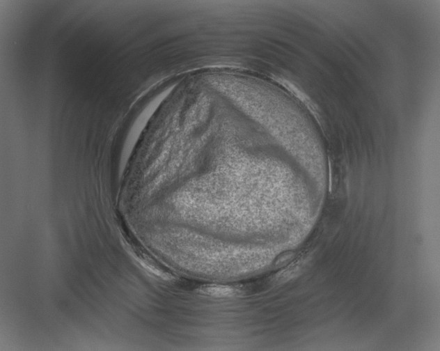 X0000082200253200702100008