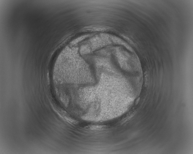 X0000082200254200702100008