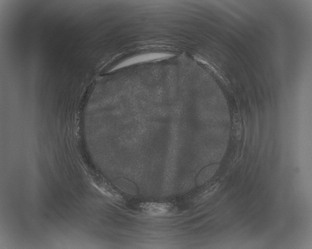 X0000082200255200702100008