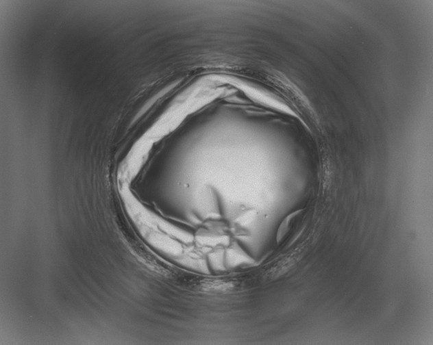 X0000082200257200702100008