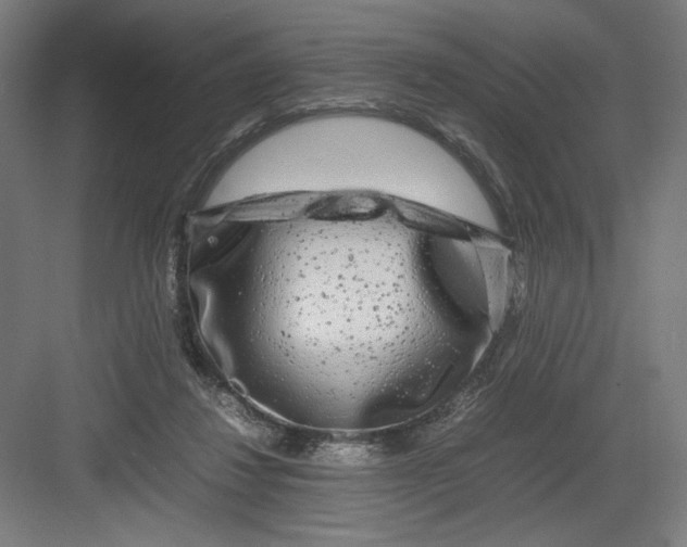 X0000082200260200702100009