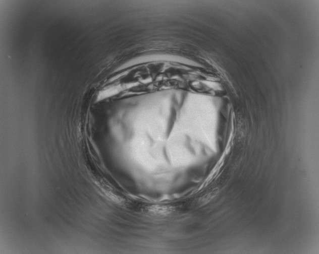 X0000082200261200702100009