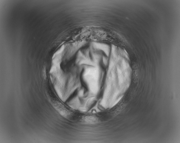 X0000082200262200702100009