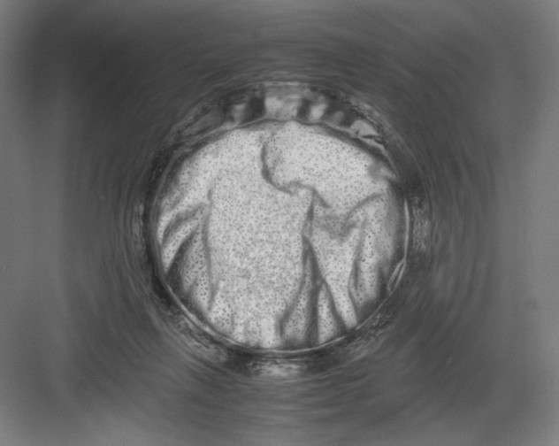 X0000082200263200702100009