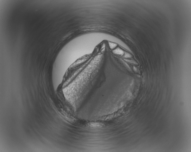 X0000082200264200702100009