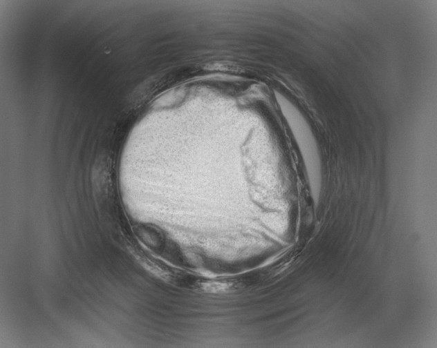 X0000082200265200702100009