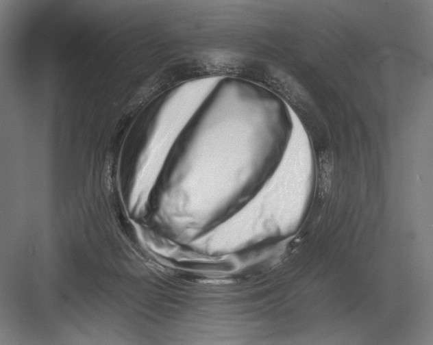 X0000082200266200702100009