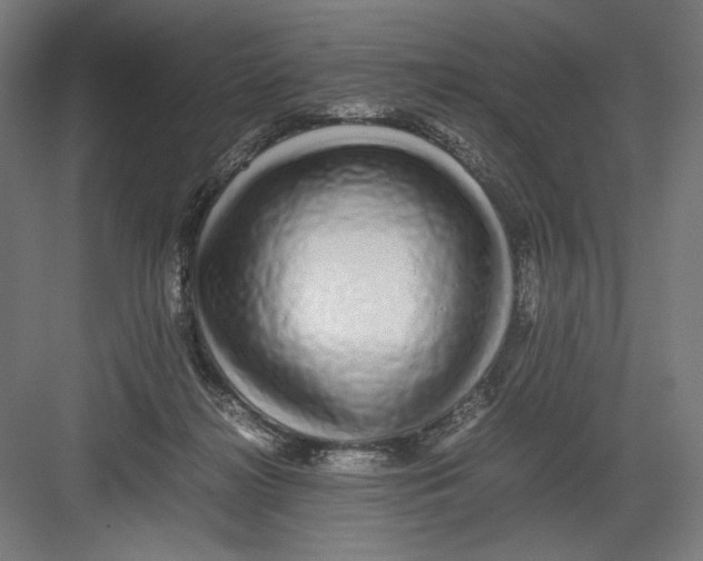 X0000082200268200702100009