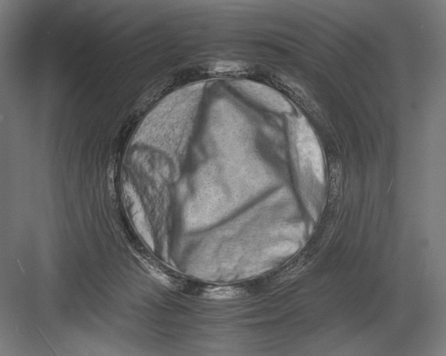 X0000082200269200702100009