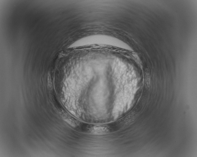 X0000082200270200702100009