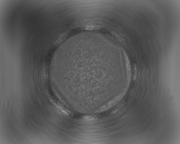 X0000082200272200702100009