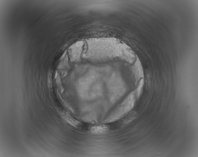 X0000082200274200702100009