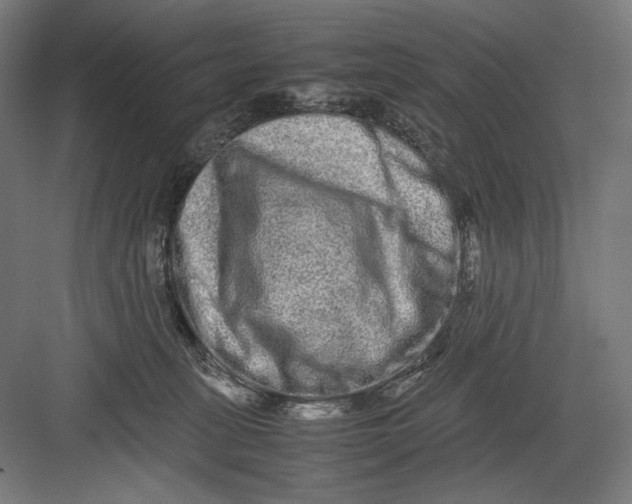 X0000082200275200702100009