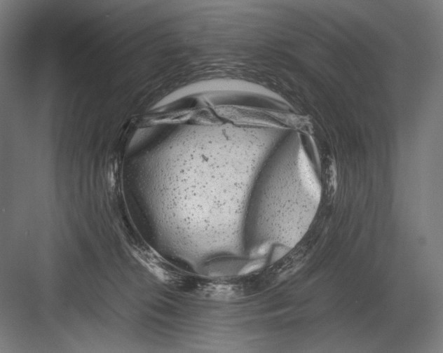 X0000082200276200702100009