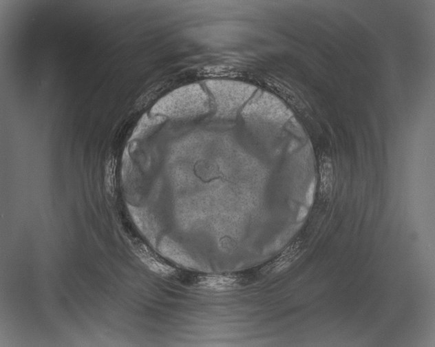 X0000082200278200702100009