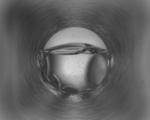 X0000082200280200702100009