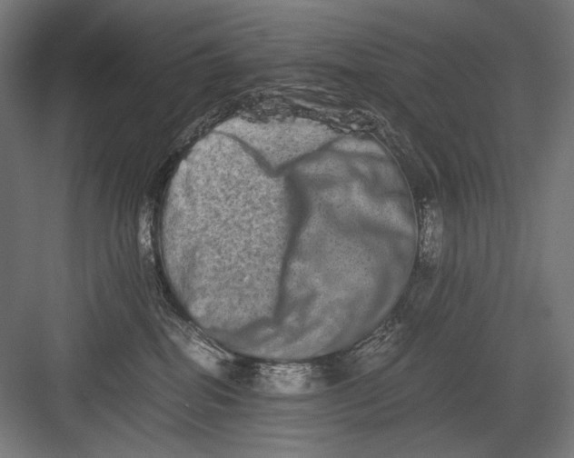 X0000082200282200702100009