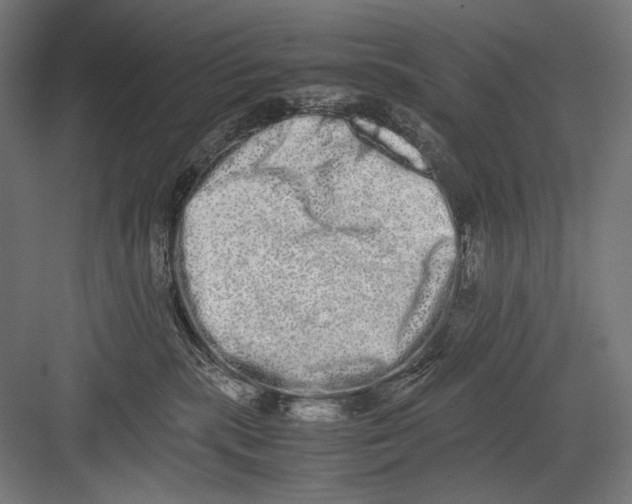 X0000082200283200702100009