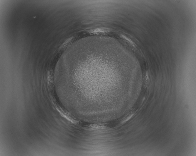 X0000082200284200702100009