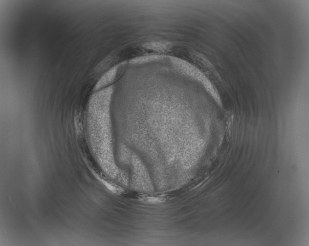 X0000082200285200702100009