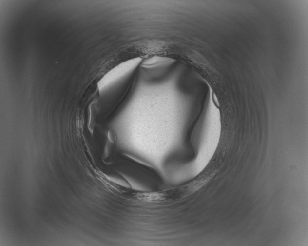 X0000082200288200702100009