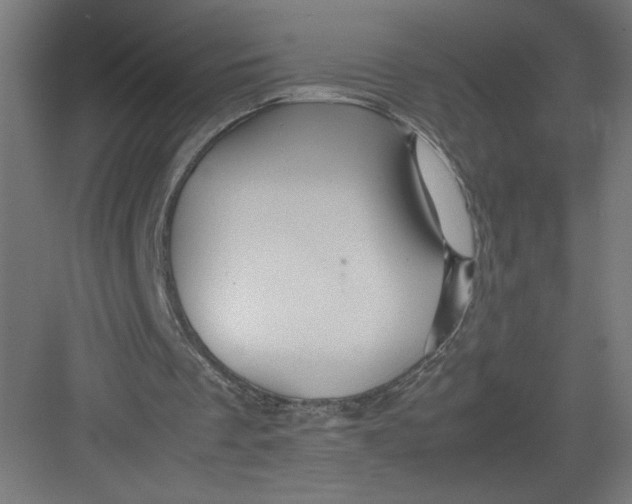 X0000082200289200702100008