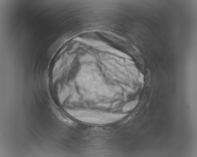 X0000082200290200702100008