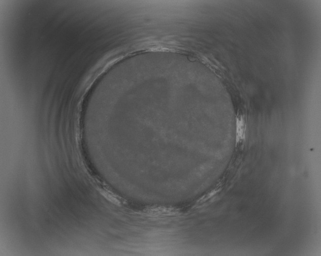 X0000082200291200702100008