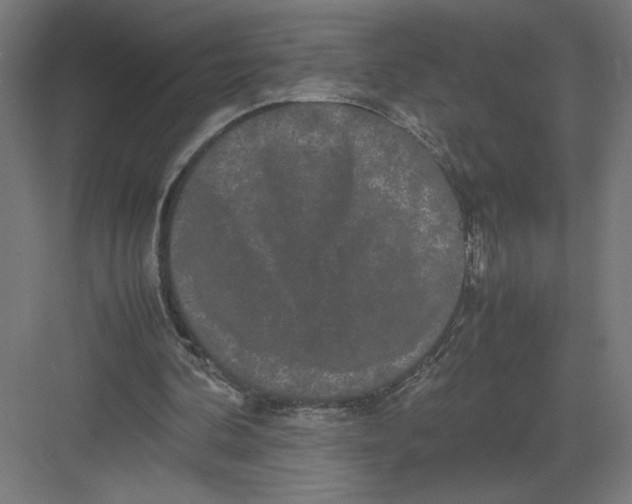 X0000082200292200702100008