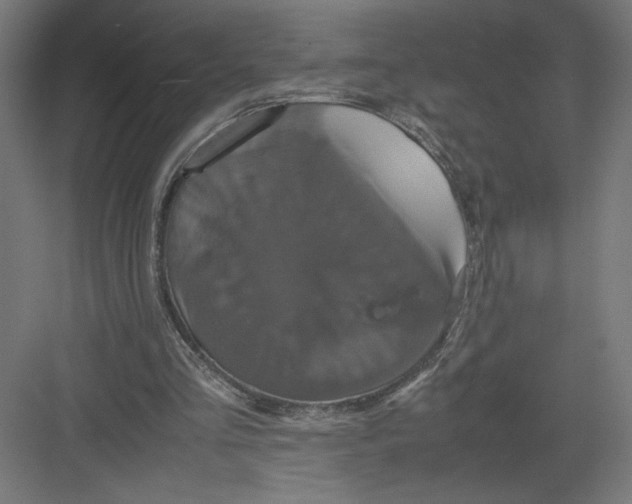 X0000082200293200702100008