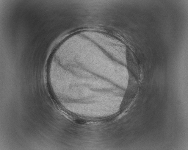 X0000082200294200702100008