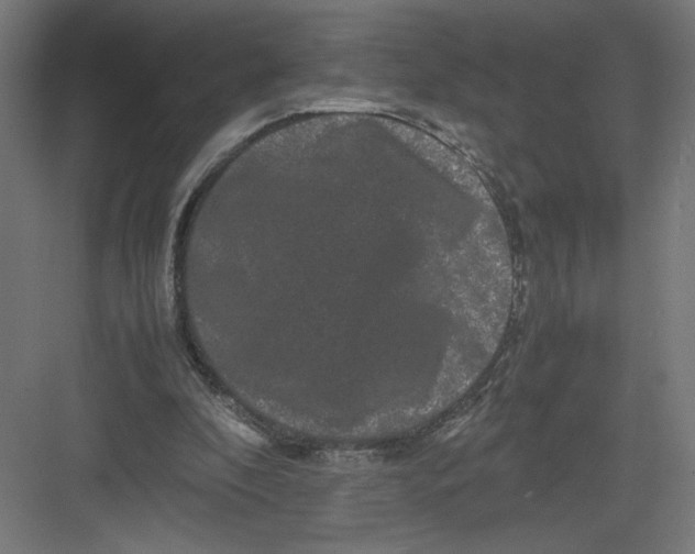 X0000082200296200702100008