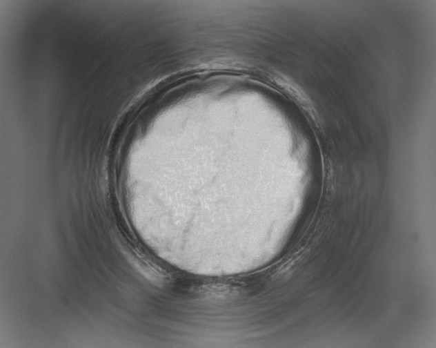 X0000082200298200702100008